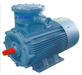 Flameproof Three Phase Induction Motor