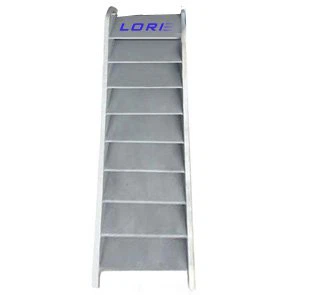 Stainless Steel Inclined Ladder